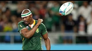 Makazole Mapimpi Tribute | The Springbok Flyer