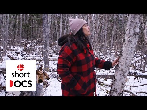 Thumbnail for the embedded element "The power of a tree: why birch and its bark are so important to Anishinaabe culture | Wiigwaasabak"