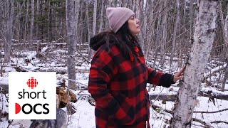 The power of a tree: why birch and its bark are so important to Anishinaabe culture | Wiigwaasabak