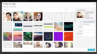 The Divi Builder Testimonial Module