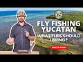 Essential flies for fly fishing the yucatan for tarpon bonefish and permit