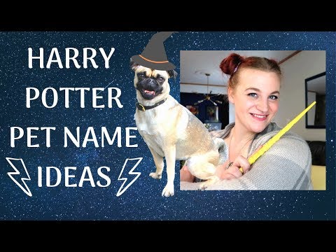 Wideo: The Ultimate List of Harry Potter Dog Names