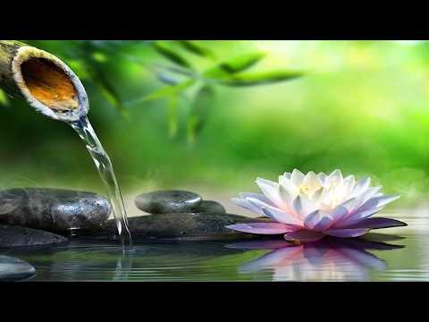 Relaxing Deep Sleep Music 🌿 Water Sounds, Stress Relief Music, Meditation Music Calm Your Mind