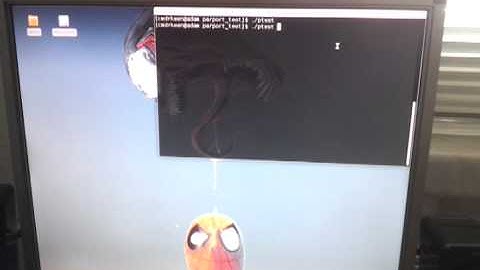 8 LEDs (and one cat) on LPT