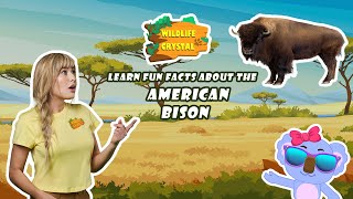 Bison Facts