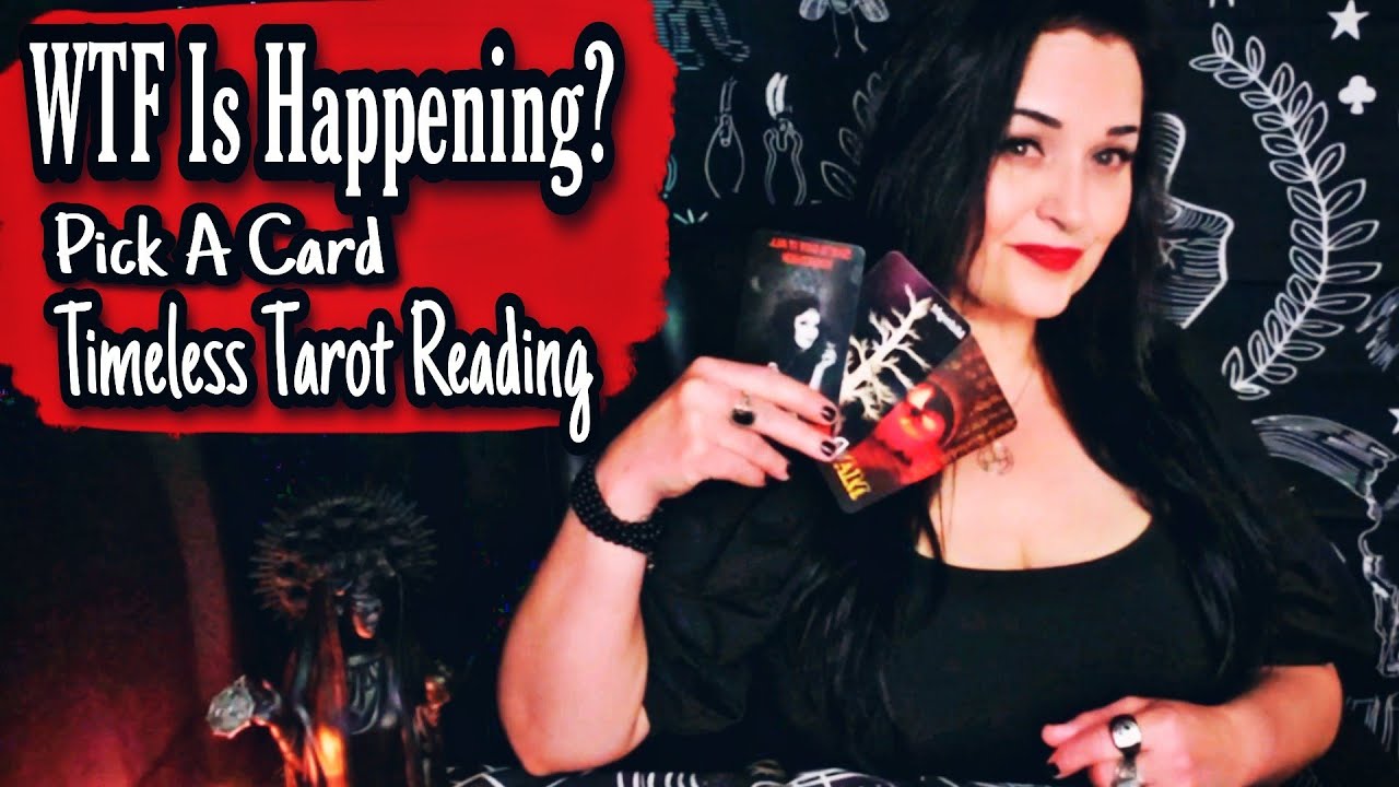 WTF Is Happening? 😳 Pick A Card 🔮 Timeless ⏳ |Tarot Reading|