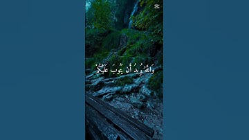 [سورة النساء أية 27 , 28] #قرآن #quran
