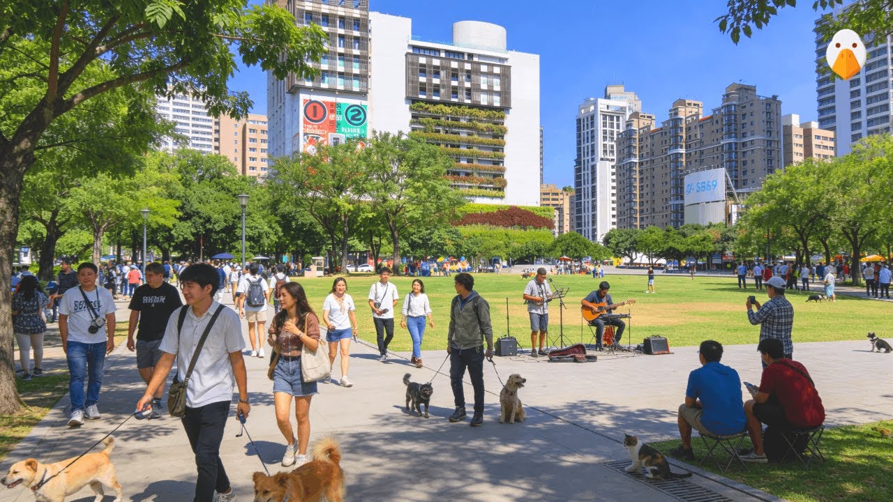 Тайчжун, Тайвань🇹🇼 Самый пригодный для жизни современный город Тайваня (4K UHD)