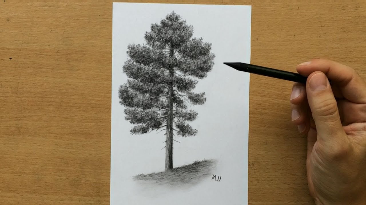 Charcoal Tree drawing by Jami Lea | Doodle Addicts