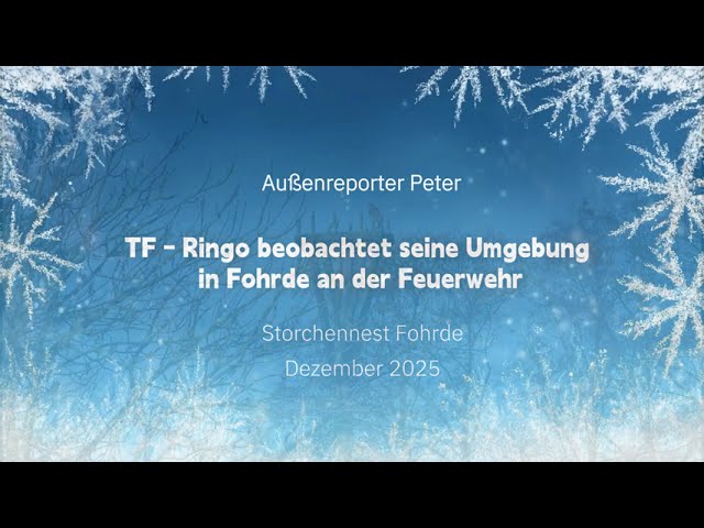 TF-Ringo beobachtet seine Umgebung in Fohrde an der Feuerwehr - Außenreporter Peter