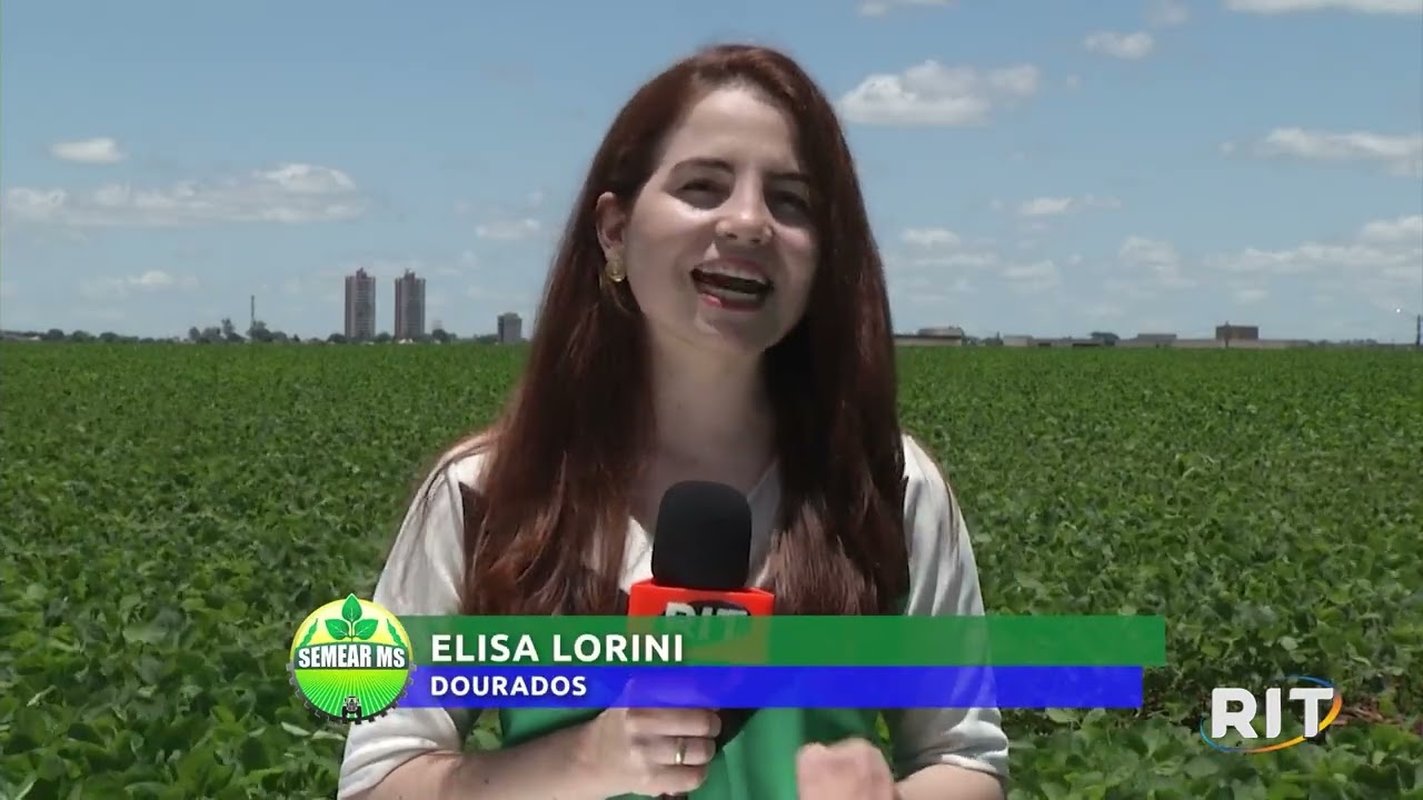 GRANIZO SUL DO ESTADO