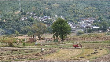 中国乡村漫步 | 深入云南大山，走进坡地纳西族村落，邂逅一幅静美的农耕画卷 [4K]