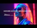 Calvin Harris, Ellie Goulding - Miracle (Elvin (UK) Remix)