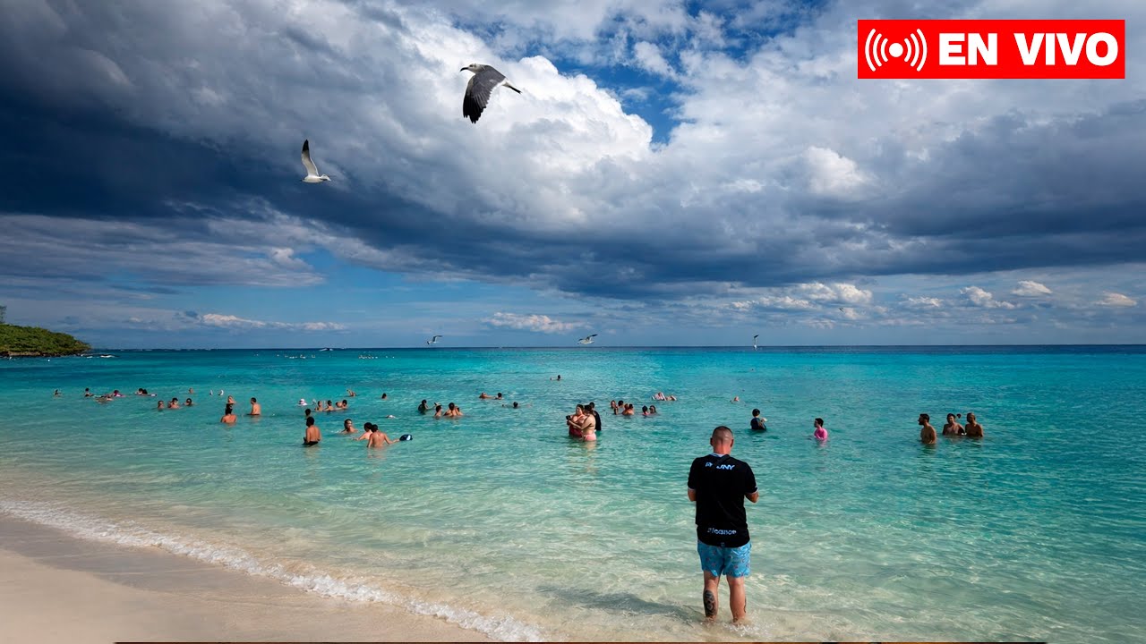 Playa del Carmen en vivo | Playas con Sargazo ?