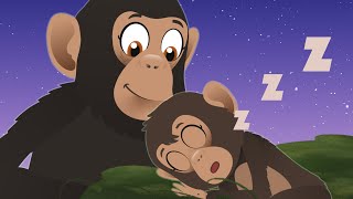 Sleep Tight Lullaby | Dr Poppy On Safari | Animals For Kids | Sleepy Bedtime Songs