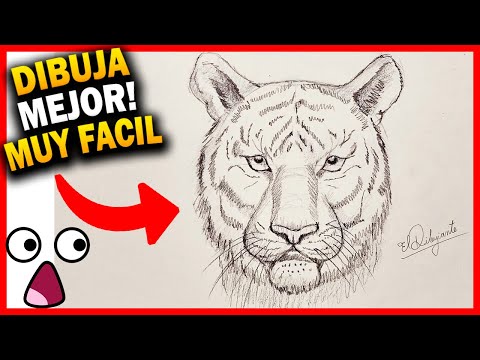 Cómo dibujar un tigre