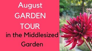 August garden tour - the Middlesized Garden turns red