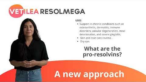Copia de VETILEA RESOLMEGA ENG 1