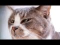 Video to watch if you’re bored (because why not)