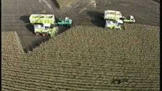 Claas, Jaguar, ernte, harvest, corn, mais, silage, RU, 450, maisgebiß