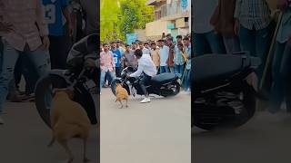 Dog race kolhapur || kolhapur dog racing|| dog racing maharastra|| #shortsvideo #youtubeshorts