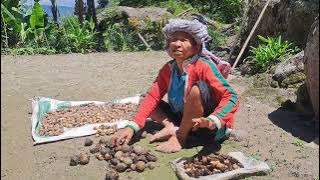 SAYA BERKUNJUNG KE DESA TERISOLIR DI BAWAH GUNUNG BATU, PINGGIR DANAU TOBA,