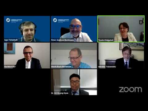 სამოქალაქო იდეას VIII ვებინარი