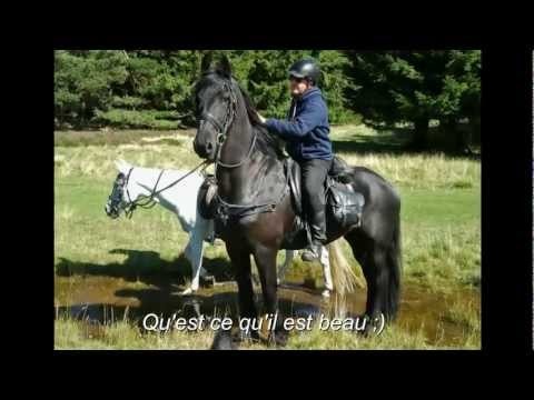 26-28 Aot 2011 - Ballade Equestre au tour le Puy d...