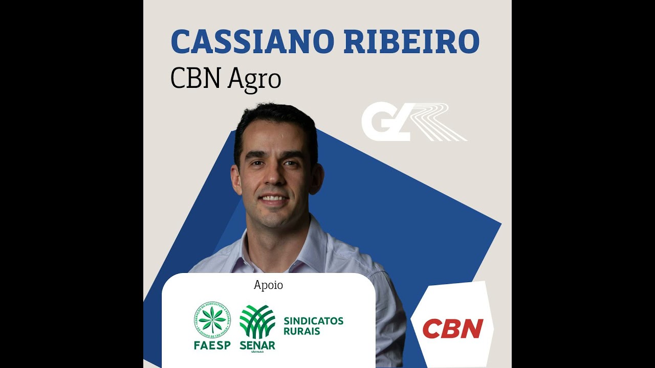Rotas para escoar cargas de soja no Norte do país paralisam por manifestações, dificuldades logís...