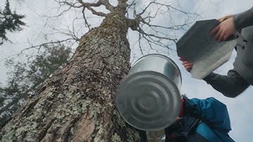 Video 2: Maple Sap Flow Process & Maple Sap Collection