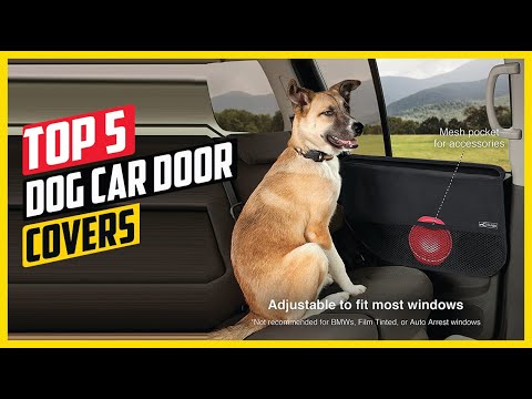 How To Protect Exterior Car Doors From Dog Scratches?