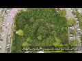 Largest miyawaki Urban Forest, Lahore | ibn e batuta