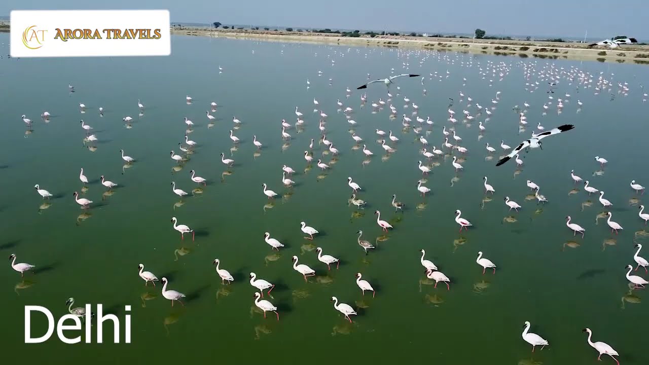 Book Bus on Rent for Any State in India | AC & Luxury Bus Booking | Safe & Affordable Travel