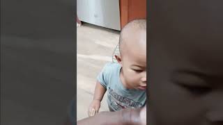 Chubb's learning to walk Profile