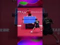 Direct Counterattack #卓球 #탁구 #乒乓球 #pingpong #sports #tabletennis #shorts