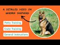 How to Train a German Shepherd Dog (Potty Training &amp; Crate Training)