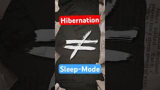 Hibernation and Sleep-Mode explained in under 1 minute!