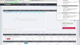 Практика покупки акций в биржевом терминале Tradernet(В этом видео рассмотрен пример покупки акций в биржевом терминале Tradernet, а также практика расчет доли акций..., 2015-08-14T13:20:35.000Z)