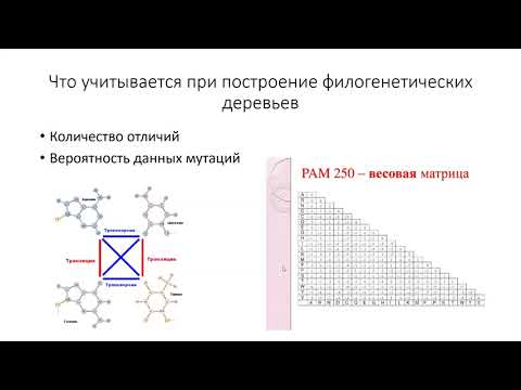 Видео: Как квадрат ци используется в генетике?