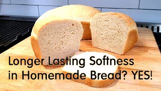 Classic Sandwich Bread That Lasts!