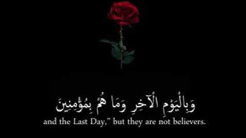 ومن الناس من يقول امنا بالله | ارح قلبك | القرآن الكريم | حالات واتس اب