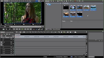 Grass Valley EDIUS Pro - 05) Importing from tapeless media – Source Browser