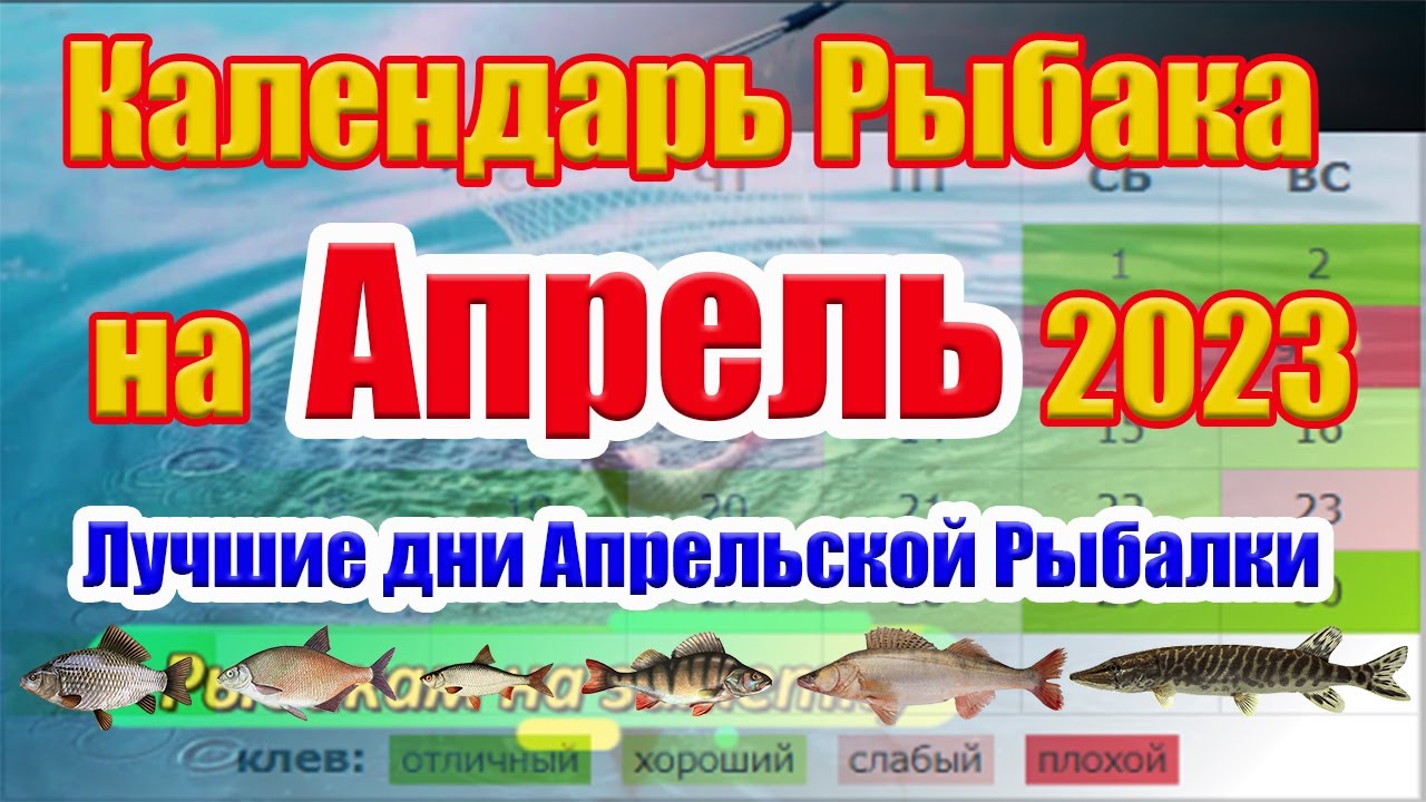 Лунный рыболовный календарь на апрель. Календарь рыбака. Календарь рыбака 2023. Рыболовный лунный календарь. Лунный календарь рыболова на апрель 2023г.