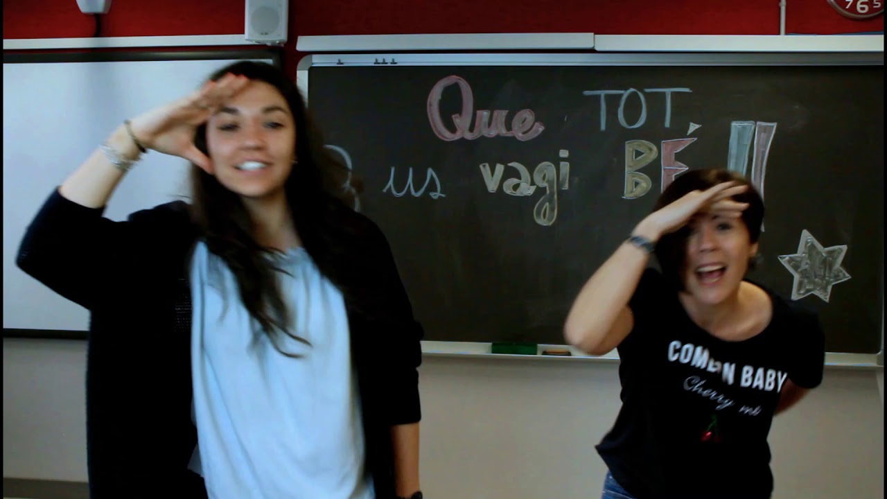 Que tot us vagi bé. ( Txarango's song cover )