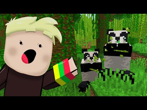 Video: Kaip Pašalinti Visą Vandenį Minecraft