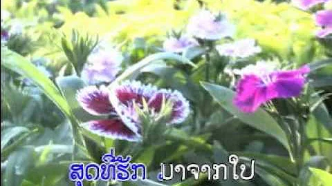 Lao Song silavong