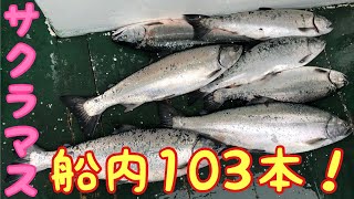 衝撃 サクラマスジギング 青森県 野牛 正盛丸 Youtube