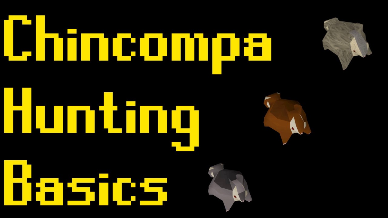Basic Chinchompa Hunting Guide 2019 (OSRS) YouTube
