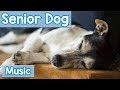 Music for Senior Dogs! Relaxing Music to Calm Old Dogs and Help them Sleep