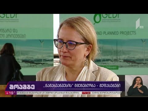 „ნამახვანჰესის“ მშენებლობა - შეფასებები